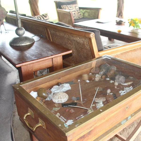 Lewa House