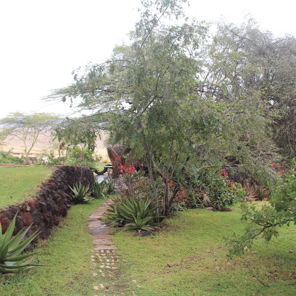 Lewa House