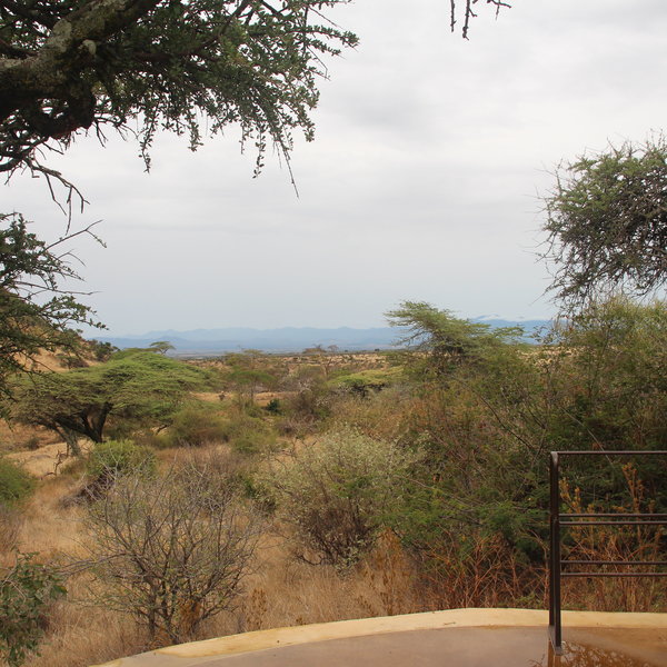 Lewa Wilderness