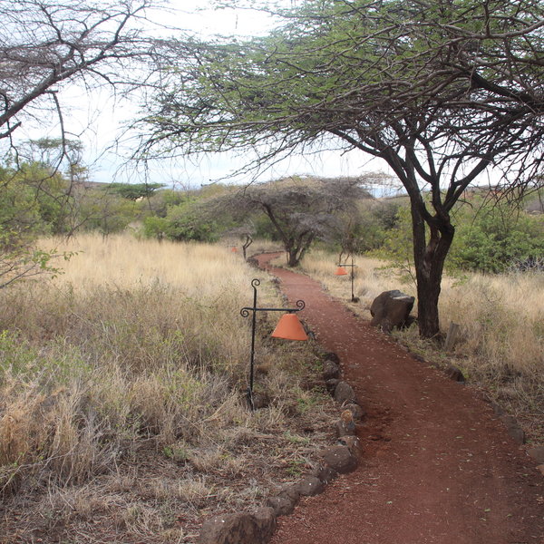 Lewa Safari Camp