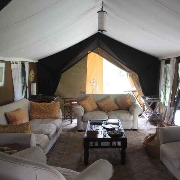 …and comfortable sofas and armchairs.