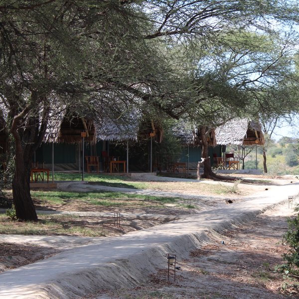 Tarangire Safari Lodge