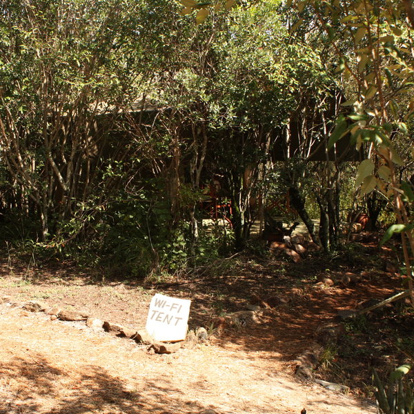 and there is also a wifi tent for guests use.