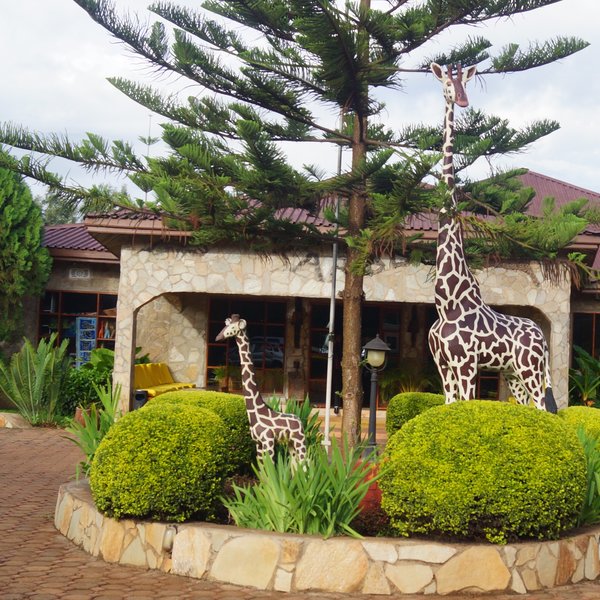 Bougainvillea Safari Lodge