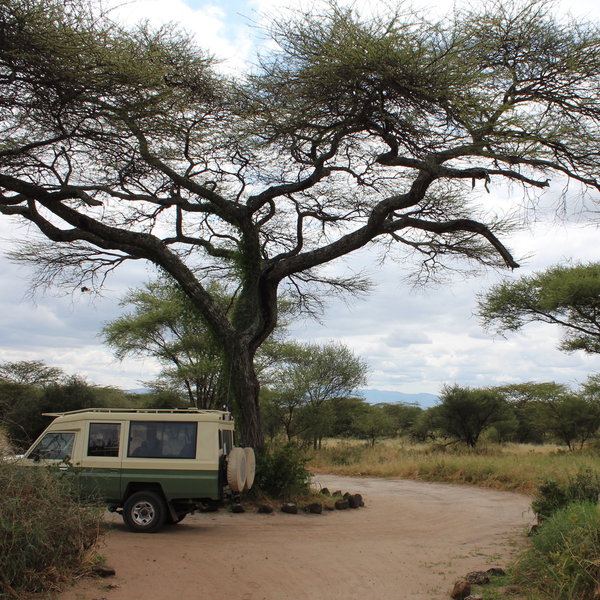 Kirurumu Tarangire Lodge