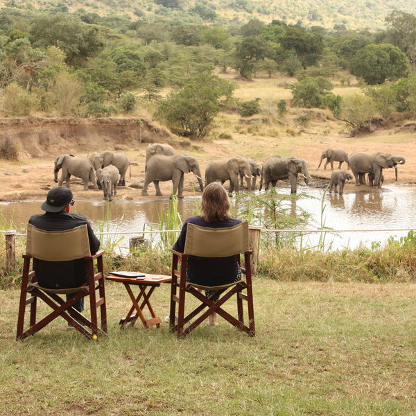 Karen Blixen Camp has an excellent location on the Mara River, with wildlife often on view