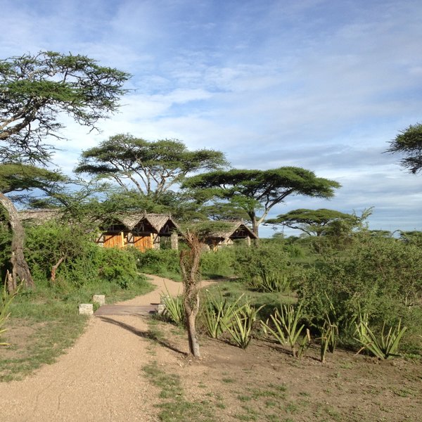 Ndutu Safari Lodge