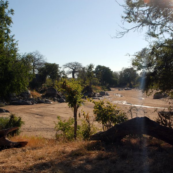Mwagusi Safari Camp
