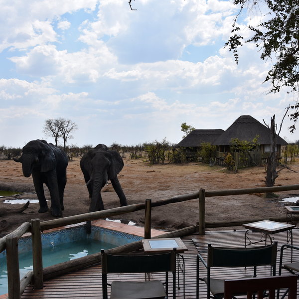 Nehimba Lodge