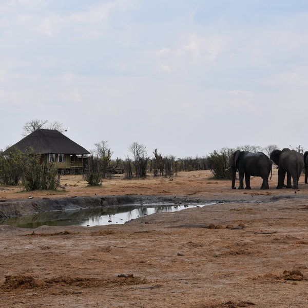 Nehimba Lodge