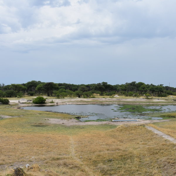The Hide
