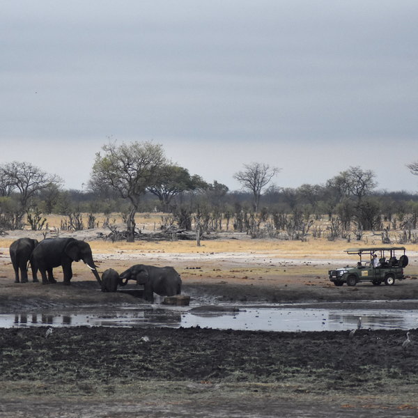 Camp Hwange