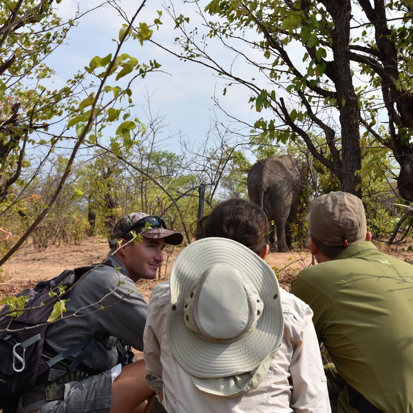 Camp Hwange