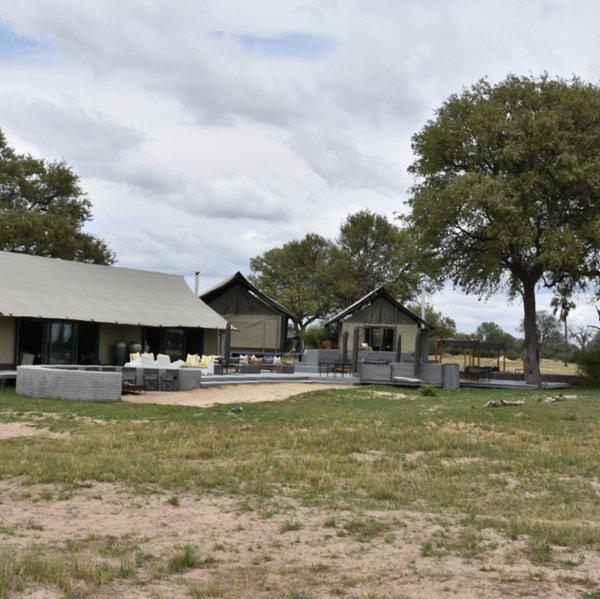 Linkwasha Camp is a smart, luxurious camp within Hwange National park.