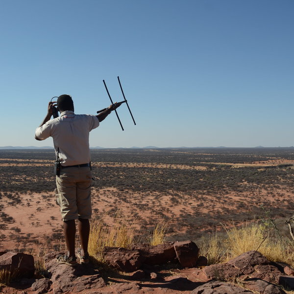 Okonjima Plains Camp