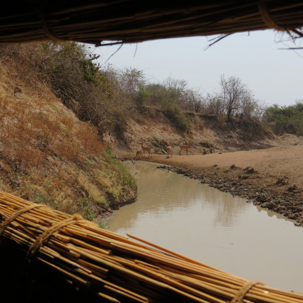 Mwamba Bushcamp