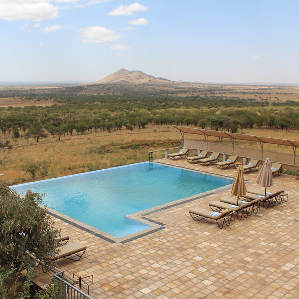 The stunning infinity pool is a great place to relax …