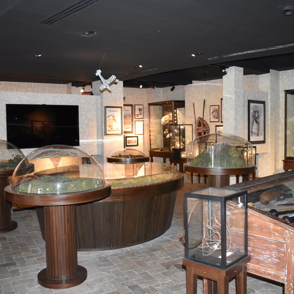...offering well-displayed insights into the history and ecology of the Serengeti.