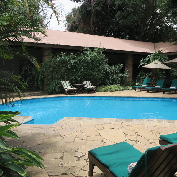 The swimming pool is tucked behind the main area and surrounded by sun loungers.