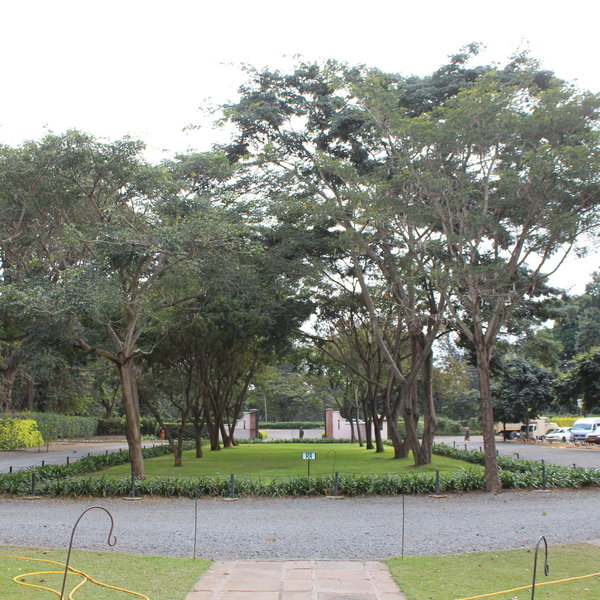 The grounds are exensive - manicured lawns sit side by side with the coffee plantations.