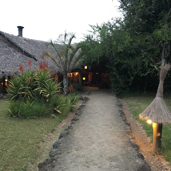 Mbweha Camp