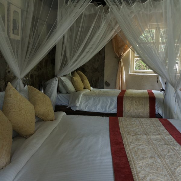 Mbweha Camp