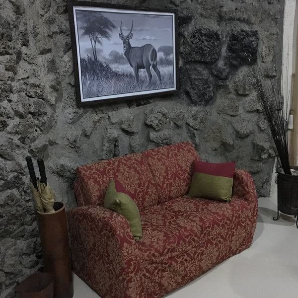 Mbweha Camp