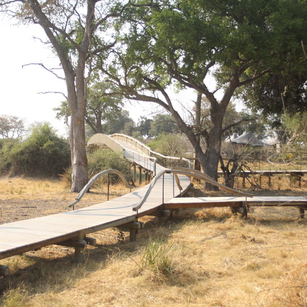 Mombo Camp