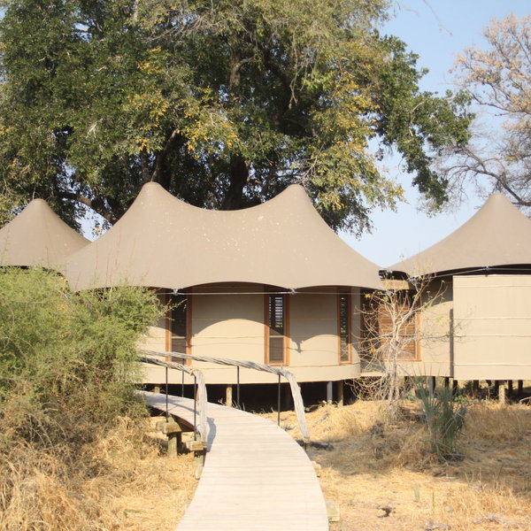Mombo Camp