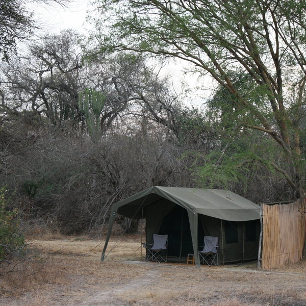 Ntemwa Busanga Camp