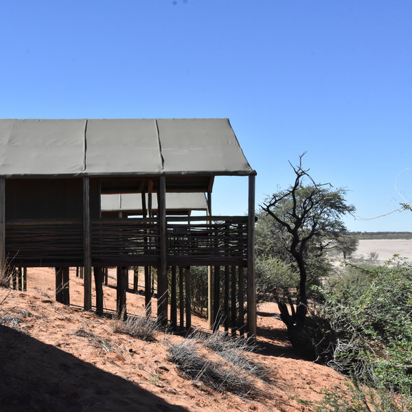 Suricate Kalahari Tented Camp