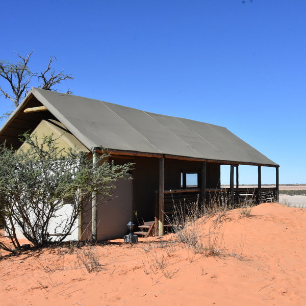 Suricate Kalahari Tented Camp
