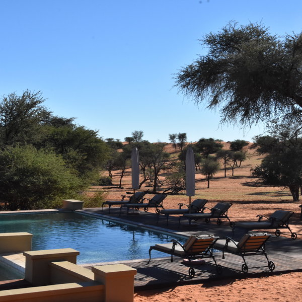 Zebra Kalahari Lodge