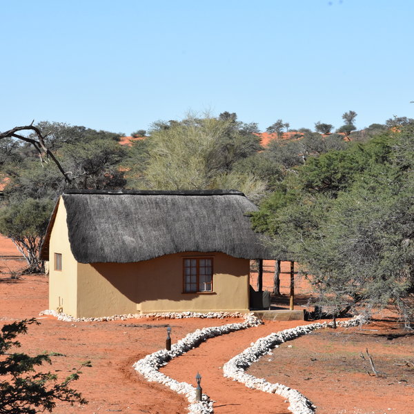 Camelthorn Kalahari Lodge