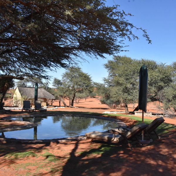 Camelthorn Kalahari Lodge