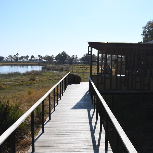 Qorokwe Camp is located in a great wildlife viewing area of the Okavango Delta.