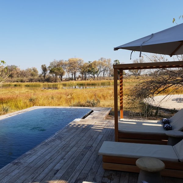 The pool looks very inviting on a hot Botswana day...