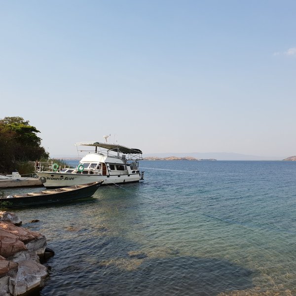 Head out in the afternoon on one of the island's boats...