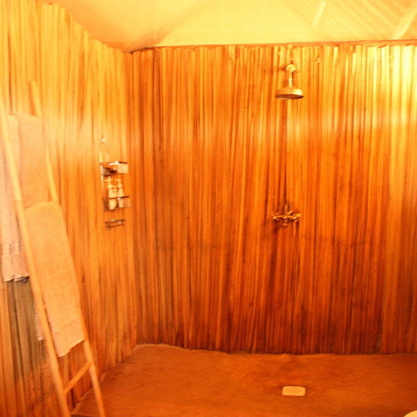 and a spacious shower.