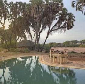 Saruni Rhino recently added a swimming pool - ideal for those hot afternoons.