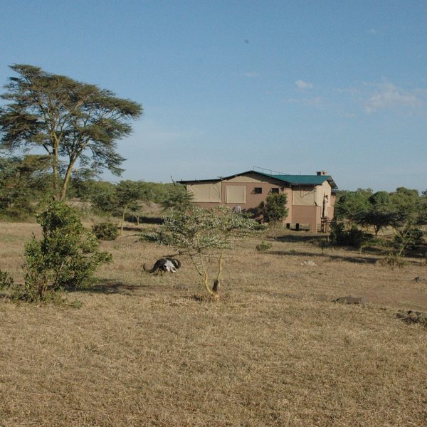 Ol Pejeta Bush Camp