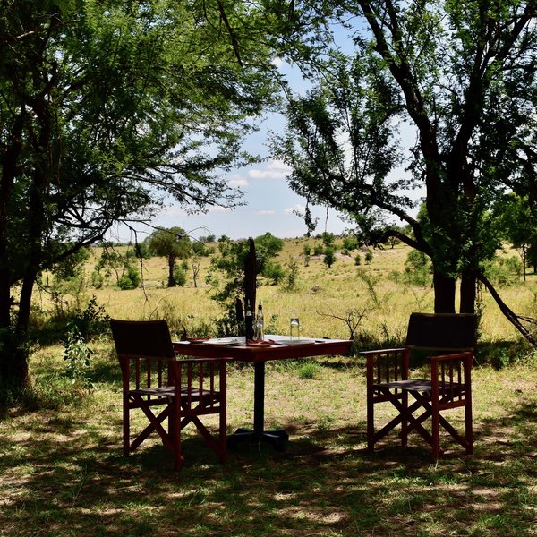 Ubuntu Camp