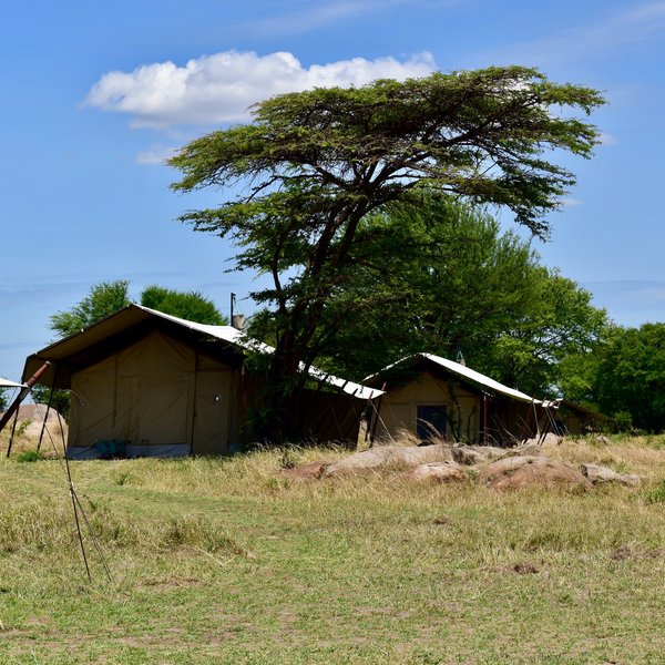 Ubuntu Camp