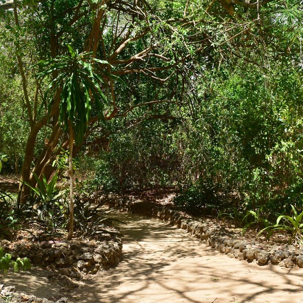 Chole Mjini Lodge
