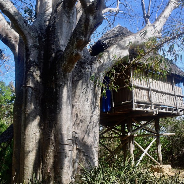 Chole Mjini Lodge