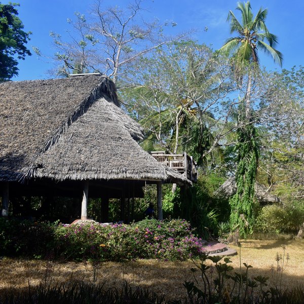 Chole Mjini Lodge