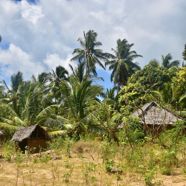 Chole Mjini Lodge