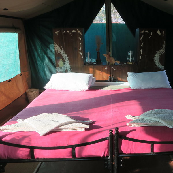Mdonya Old River Camp