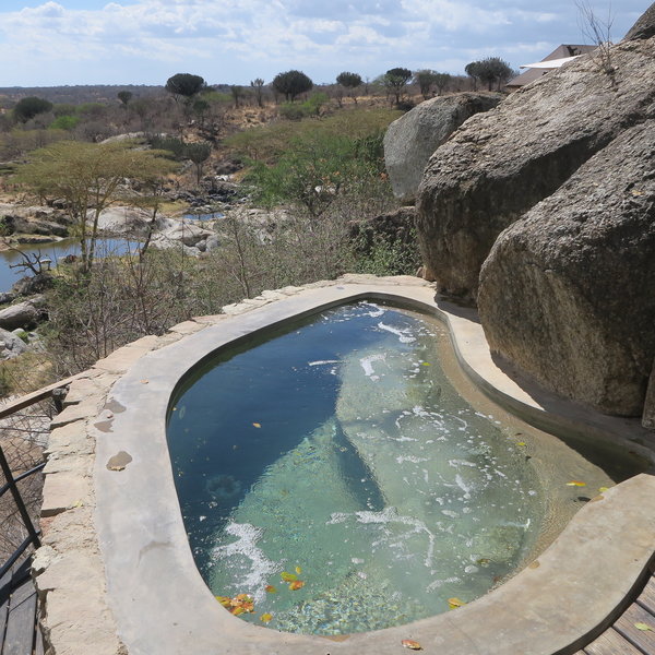 Mwiba Lodge