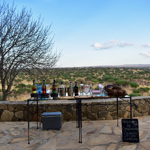 Tarangire Safari Lodge